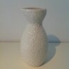 Nucleolus Sake Jug
